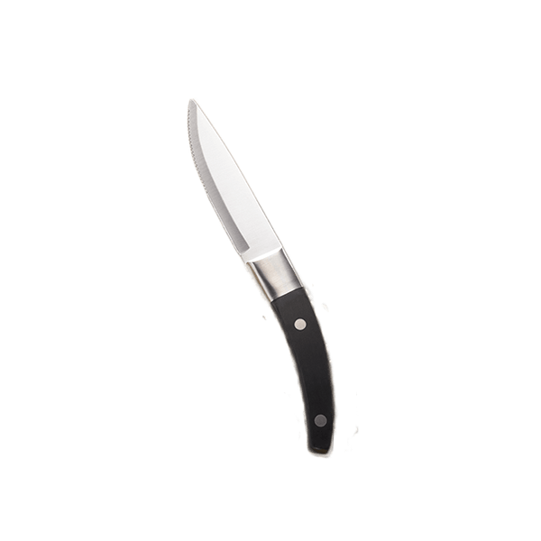 Cordoba Steak Knife 10 Inch| J0097