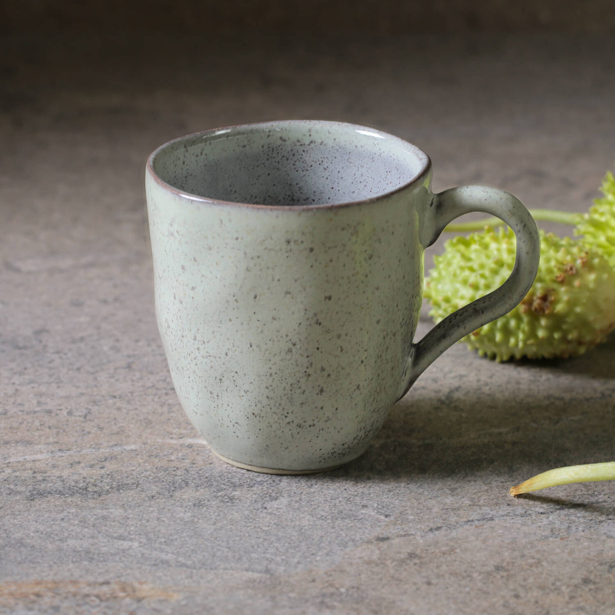 Porto Brasil PISTACHE ORGANIC MUG dia. 9.23 oz.  SKU: '11314108801