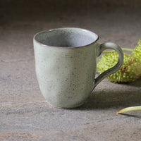 Porto Brasil PISTACHE ORGANIC MUG dia. 9.23 oz.  SKU: '11314108801