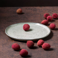 Porto Brasil PISTACHE DINNER PLATE BIO STONEWARE dia. 10.83"  SKU: '1231108801