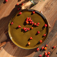 Porto Brasil AMBER DINNER PLATE BIO STONEWARE dia. 10.83"  SKU: '123177101