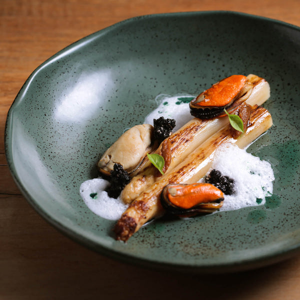 Porto Brasil GREENERY SOUP PLATE BIO STONEWARE dia. 9.84"  SKU: '1331106502