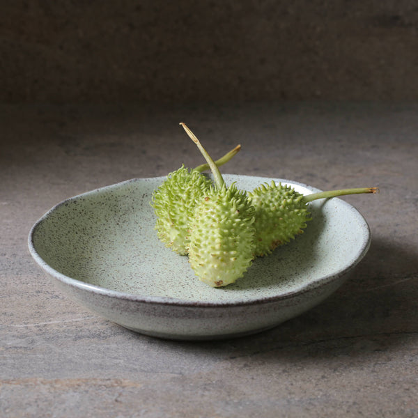 Porto Brasil PISTACHE SOUP PLATE BIO STONEWARE dia. 8.86"  SKU: '1331108801