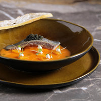 Porto Brasil AMBER SOUP PLATE BIO STONEWARE dia. 8.86"  SKU: '133177101