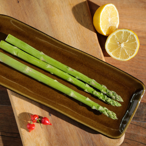 Porto Brasil AMBER RECTANGULAR PR MEDIUM ORGANIC STONEWARE dia. 12.99x5.12"  SKU: '1401477101