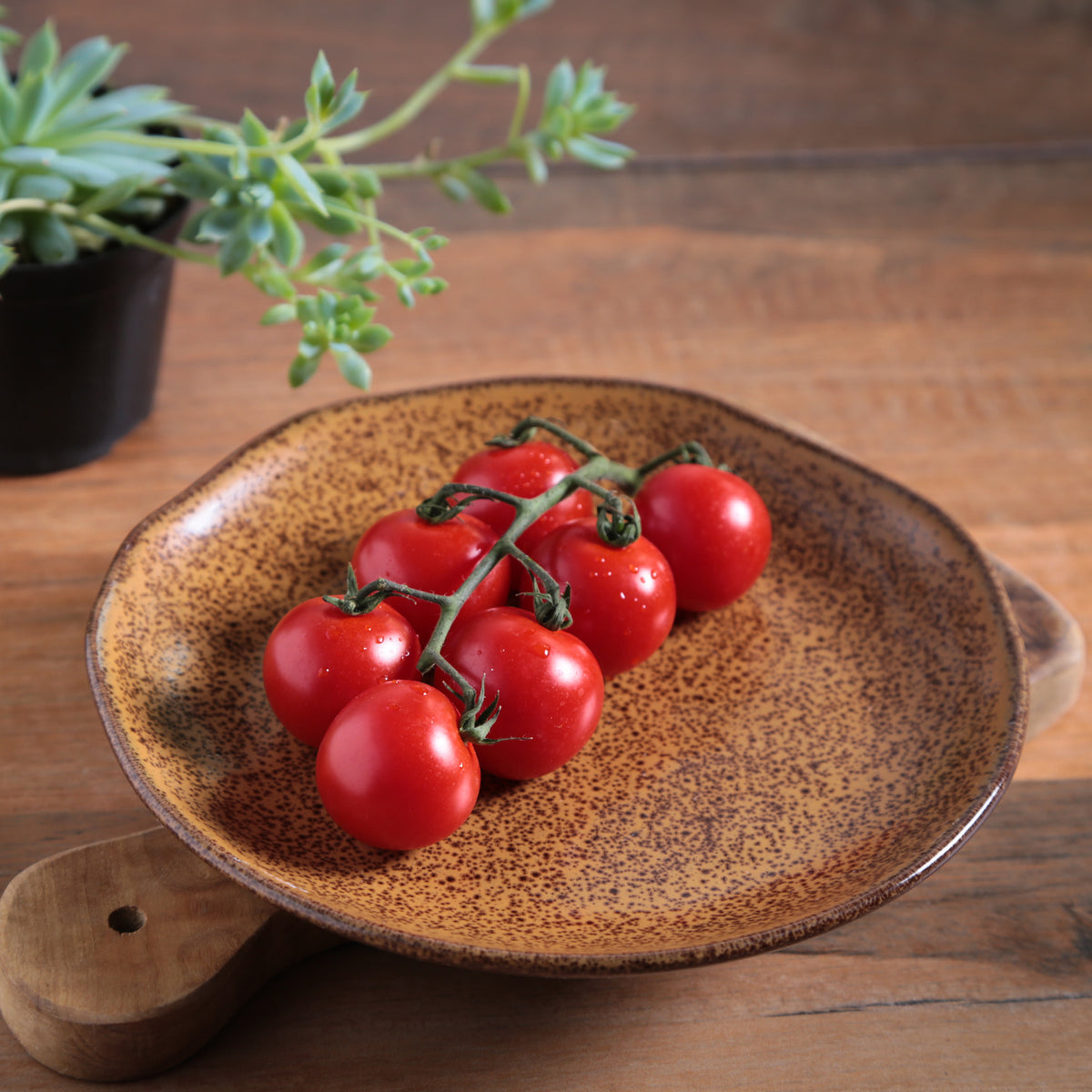 Porto Brasil DIJON DESSERT PLATE ORGANIC STONEWARE dia. 7.68"  SKU: '1414105801