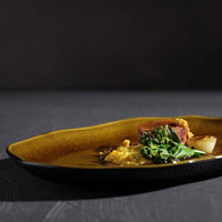 Porto Brasil AMBER SHALLOW OVAL PR MEDIUM BIO STONEWARE dia. 11.81x7.87"  SKU: '1483177101