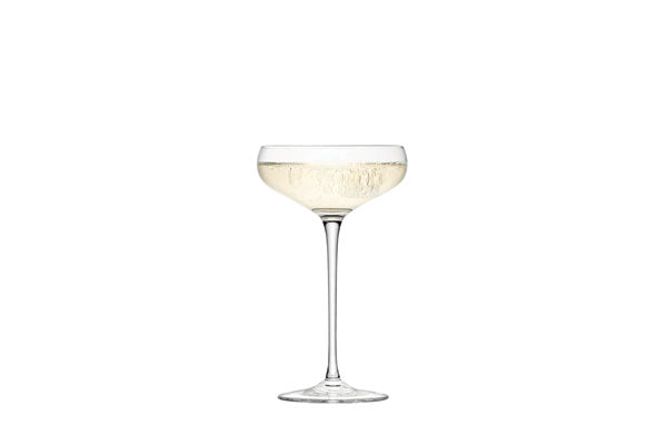 Wine Culture 10oz Champagne Coupe 