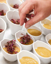 Revol ALEXANDRIE BUFFET DISH 32,5X26,5CM White SKU: '638792