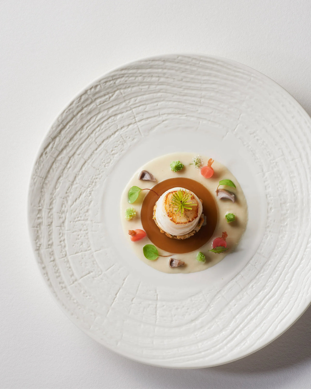 Revol ARBORESCENCE DINNER PLATE 28CM Ivory SKU: '648279