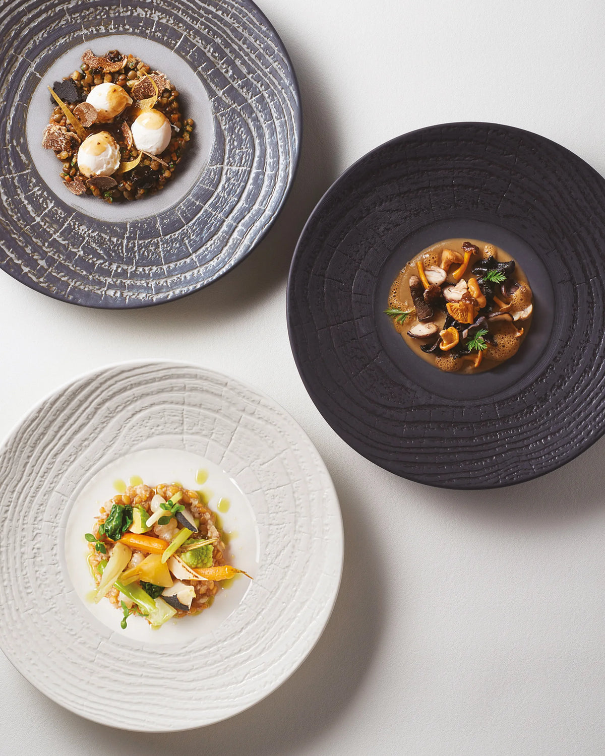 Revol ARBORESCENCE DINNER PLATE 28CM Ivory SKU: '648279