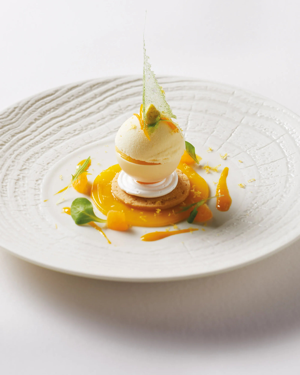 Revol ARBORESCENCE DINNER PLATE 28CM Ivory SKU: '648279