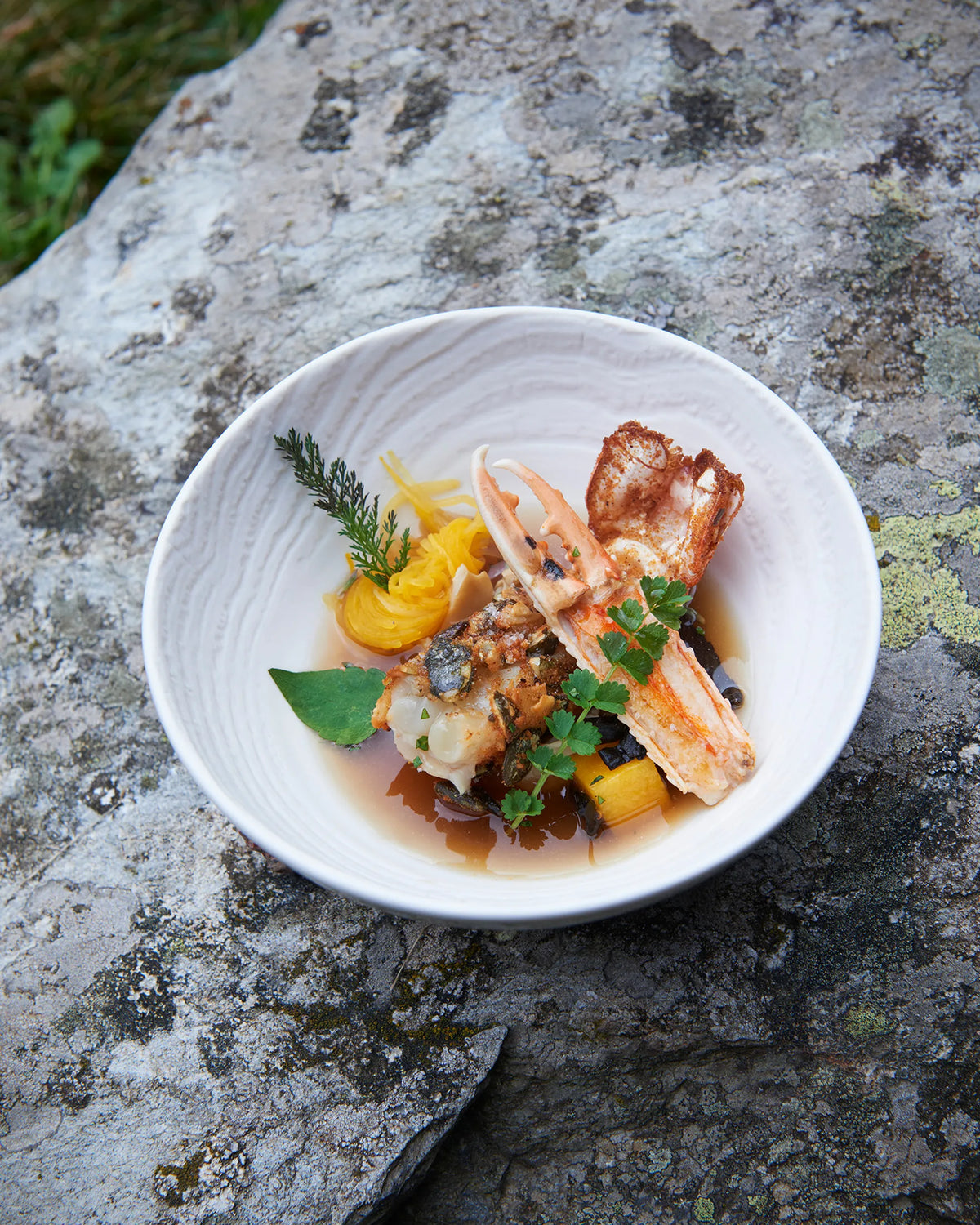 Revol ARBORESCENCE BOWL 19CM Ivory SKU: '648297