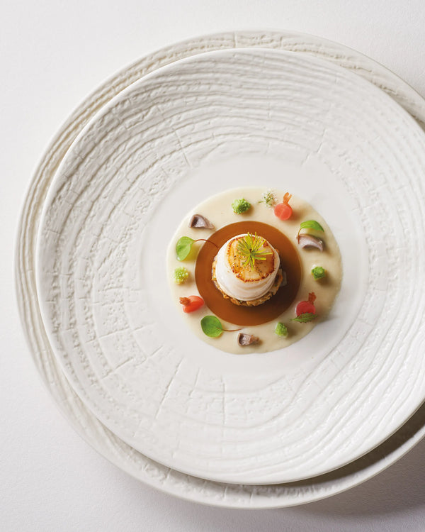 Revol ARBORESCENCE DINNER PLATE 31CM Ivory SKU: '648324