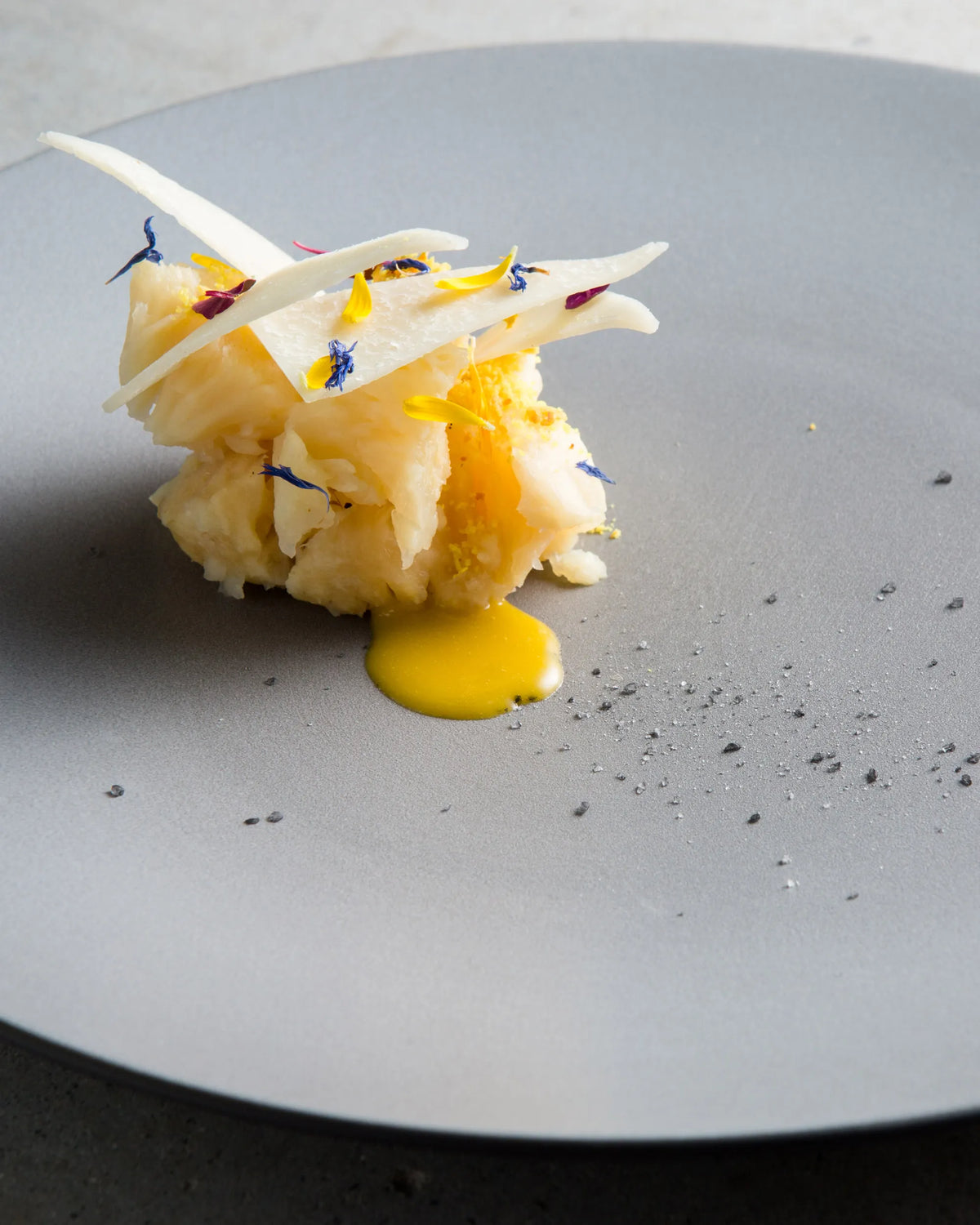 Revol EQUINOXE DINNER PLATE 26CM Pepper SKU: '650421