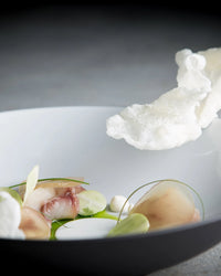 Revol EQUINOXE DEEP COUPE PLATE 24CM White Cumulus SKU: '651442