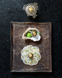 Revol SOLSTICE RECTANGULAR PLATE 21CM Cosmos Gold Cosmos Gold SKU: '652400