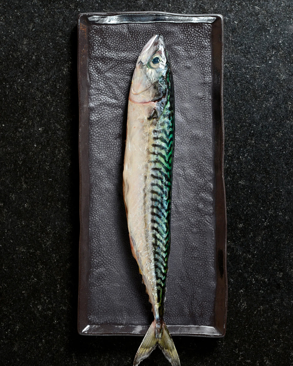 Revol SOLSTICE RECTANGULAR PLATE 30CM Black Moon Black Moon SKU: '652424