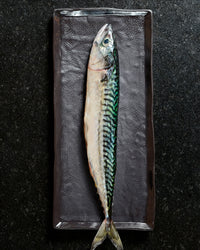 Revol SOLSTICE RECTANGULAR PLATE 30CM Black Moon Black Moon SKU: '652424