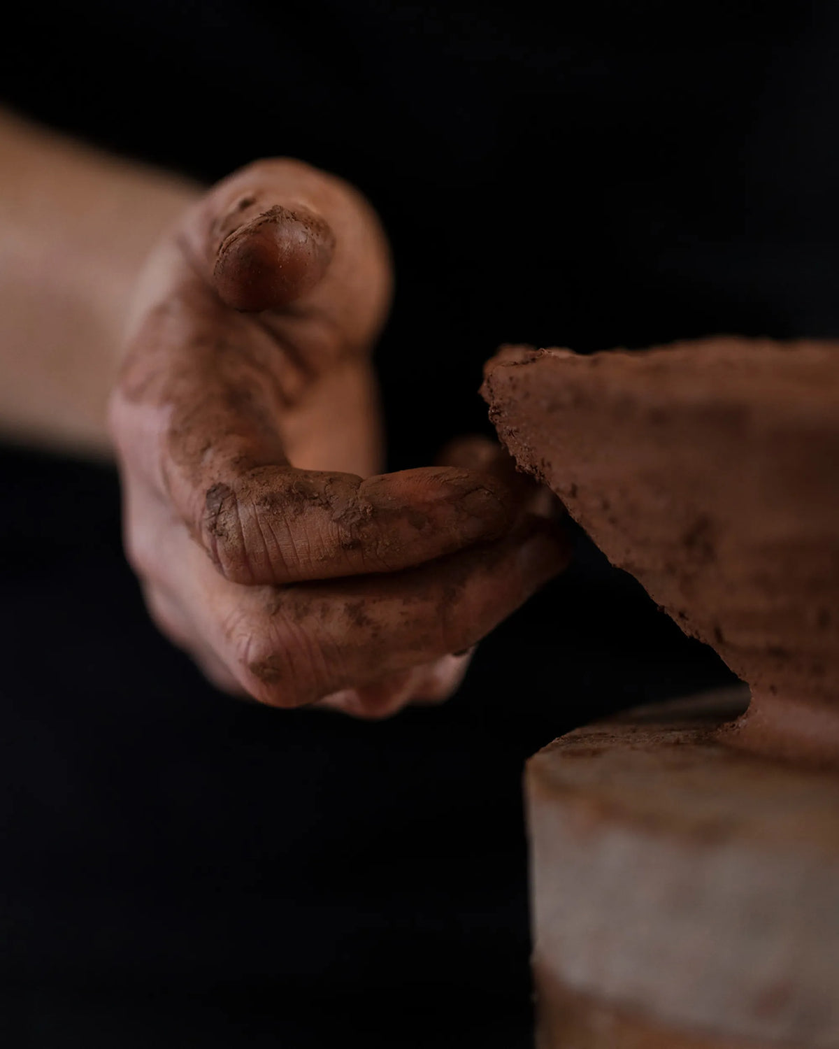 Revol  YLI BOWL 30CL Alabaster white SKU: '656388