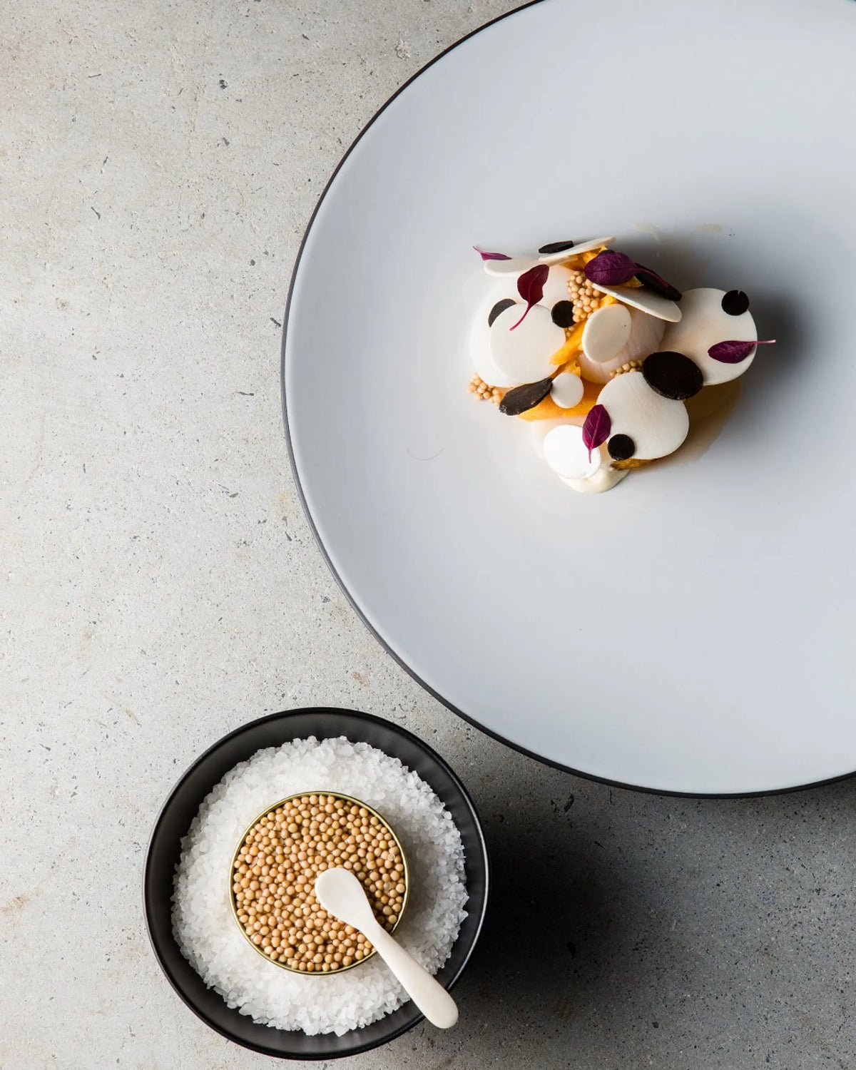 Revol EQUINOXE OBLONG PLATE 24CM Cast iron style SKU: '660498