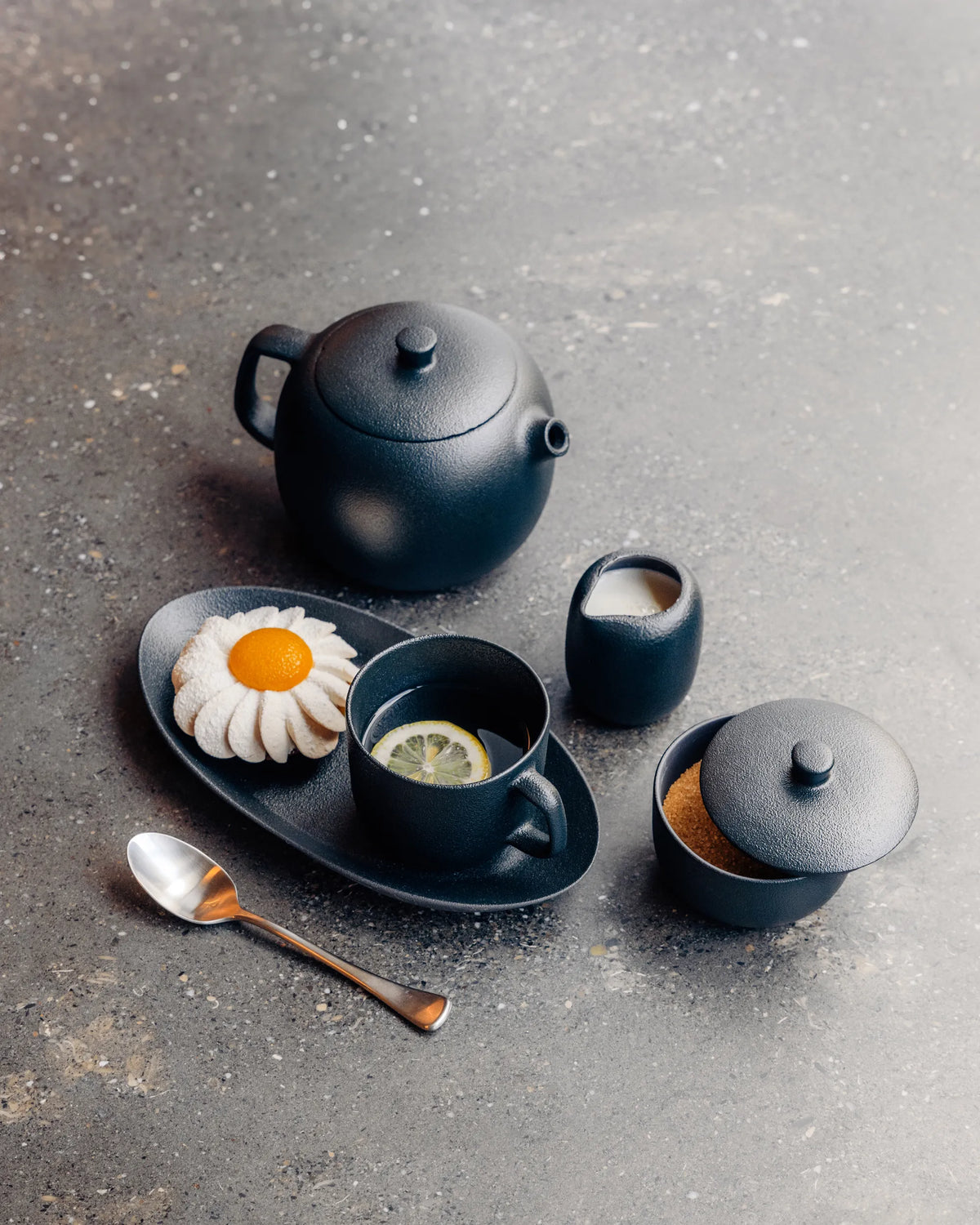 Revol EQUINOXE TEA CUP AND SAUCER 20CL Cast iron style SKU: '660539