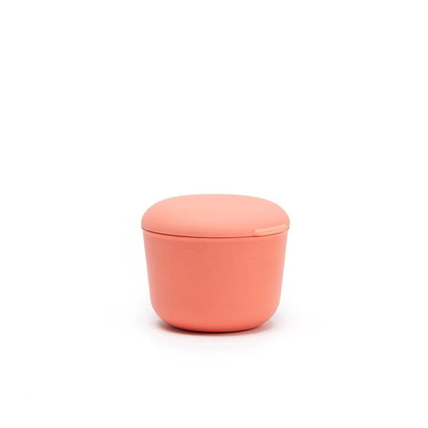 Small Store & Go Food Container - Coral