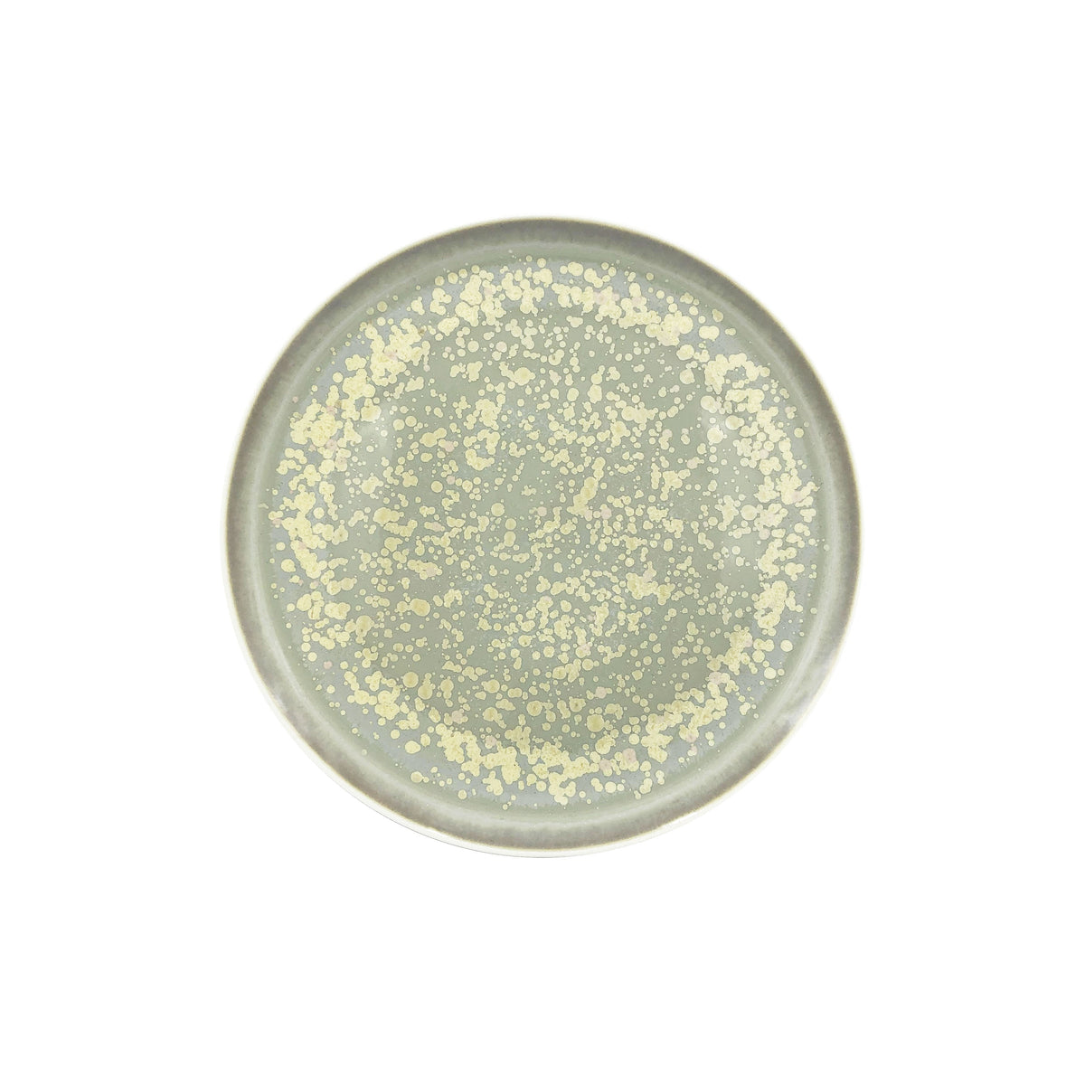 JL Coquet  SONG Sienne - Assiette ? dessert, Slim 8.27 Inch SKU: SLI1028SGSICREM000