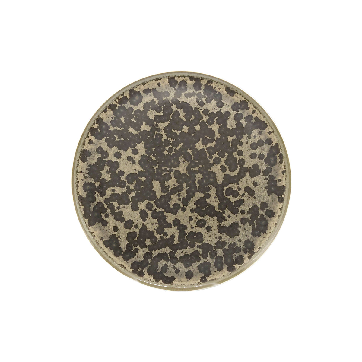 Jaune de Chrome ZULOU - Dessert plate, Slim  - 8.3 in SKU: SLI1028ZOULBLNC000