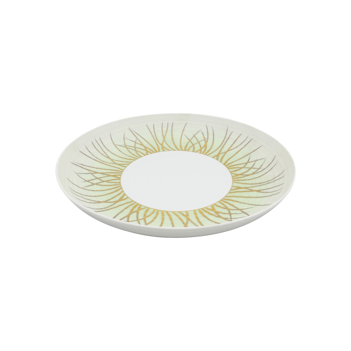 Jl Coquet HEMISPHERE Tundra Spring - MM Pasta Plate - 9.4 in SKU: HEM1009BSA061