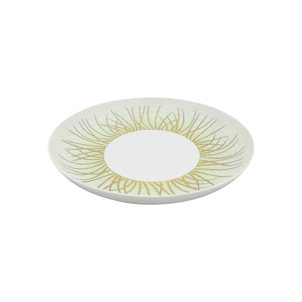Jl Coquet HEMISPHERE Tundra Spring - MM Pasta Plate - 9.4 in SKU: HEM1009BSA061