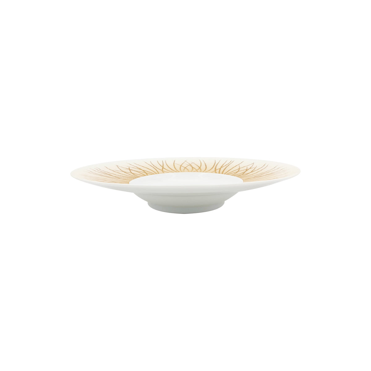 Jl Coquet HEMISPHERE Autumn Tundra - JDC Deep Plate - 10.6 in SKU: HEM1052BSA059