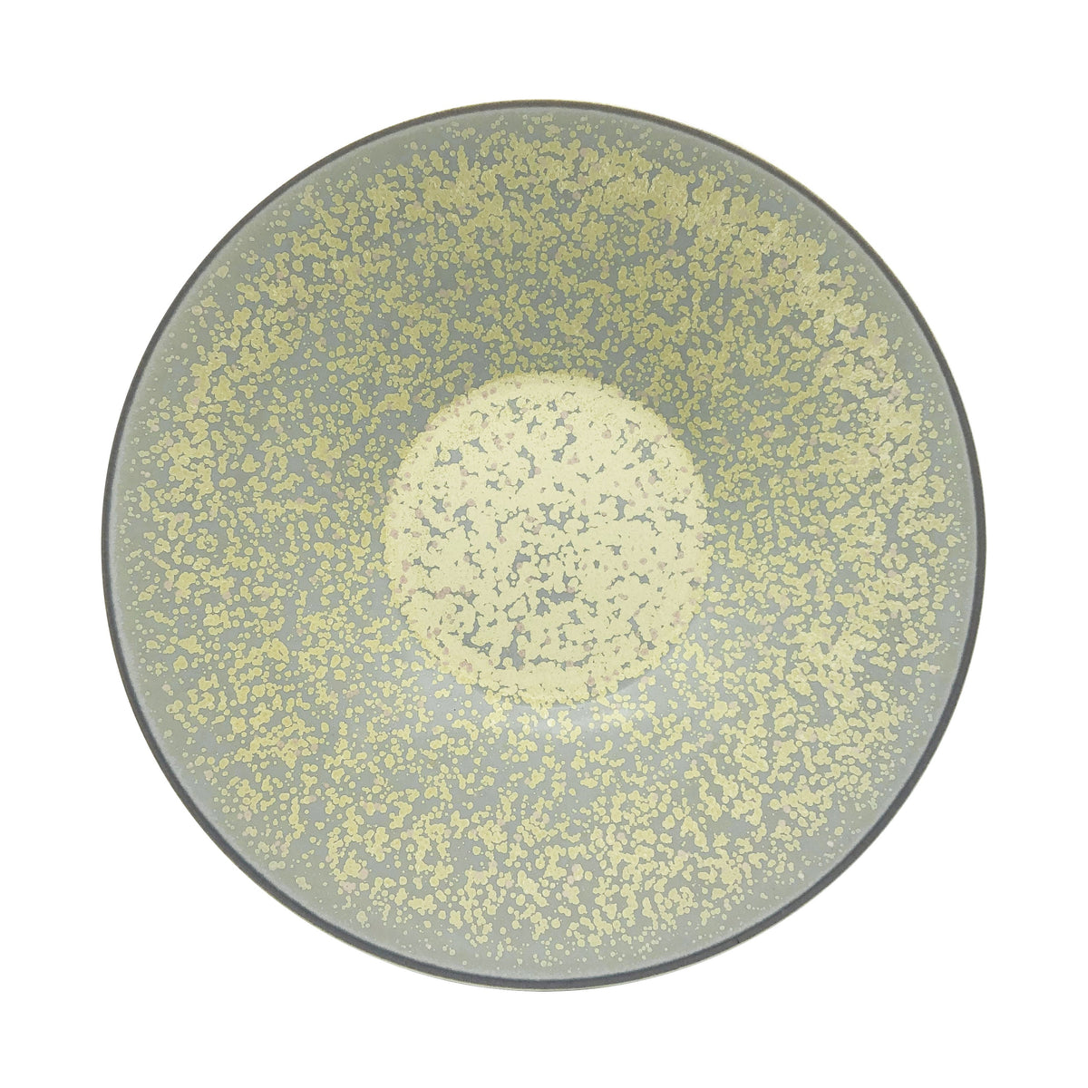 JL Coquet  SONG Sienne - Assiette 29 cm 11, Satisfaction 11.42 Inch SKU: SAT1003SGSISSCR000