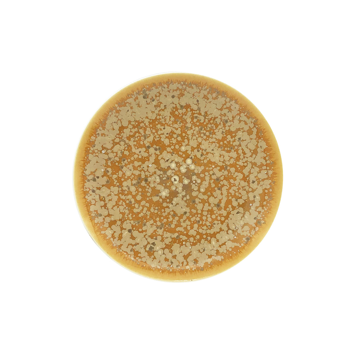 JL Coquet  Song Ocre - Assiette ? dessert 8.27 Inch SKU: AGO1028OCRECREM000