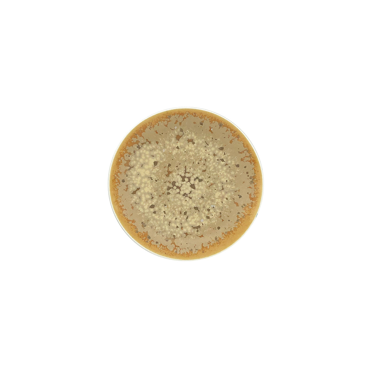 Jaune de Chrome SONG Ocre - Bread Plate  - 6.1 in SKU: AGO1008OCRECREM000
