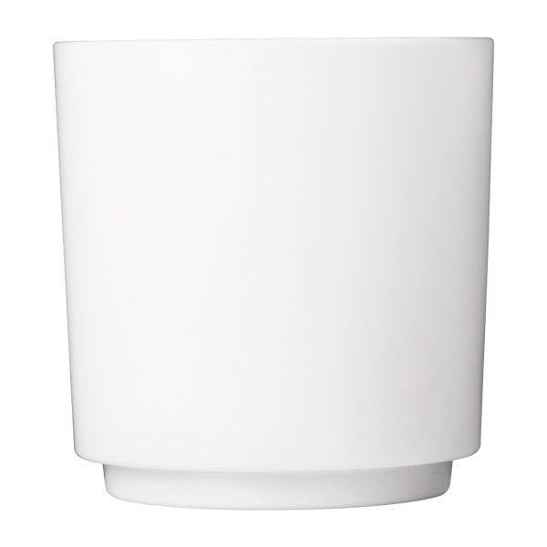 Elite_Rocks_10_oz__|_Color_White