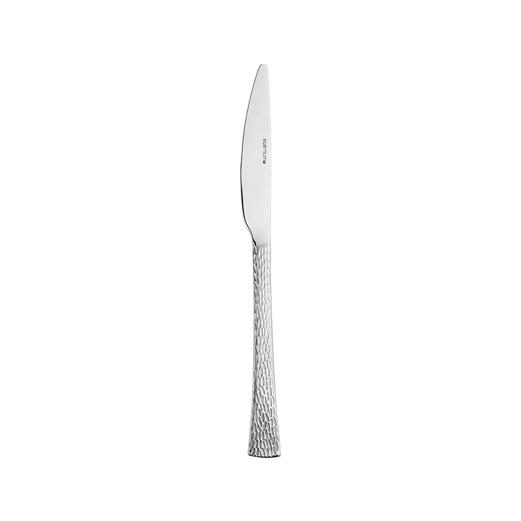 Turgla Artesia 8.75Inch  Silver Stainless Steel Dinner Knife Mono 18/10 SKU: ETE983-5