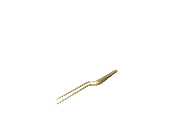 Pro Tweezers - Gold 