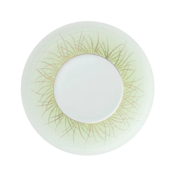 Jl Coquet HEMISPHERE Tundra Spring - Flat Plate - 10.6 in SKU: HEM1034BSA061