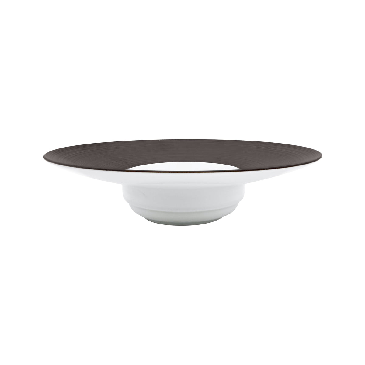 Jl Coquet HEMISPHERE Sepia - Large Rimmed Soup Plate - 10.4 in SKU: HEM1023BS0051