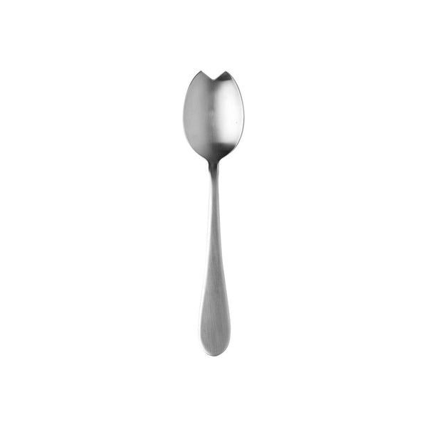 Salad Spoon 