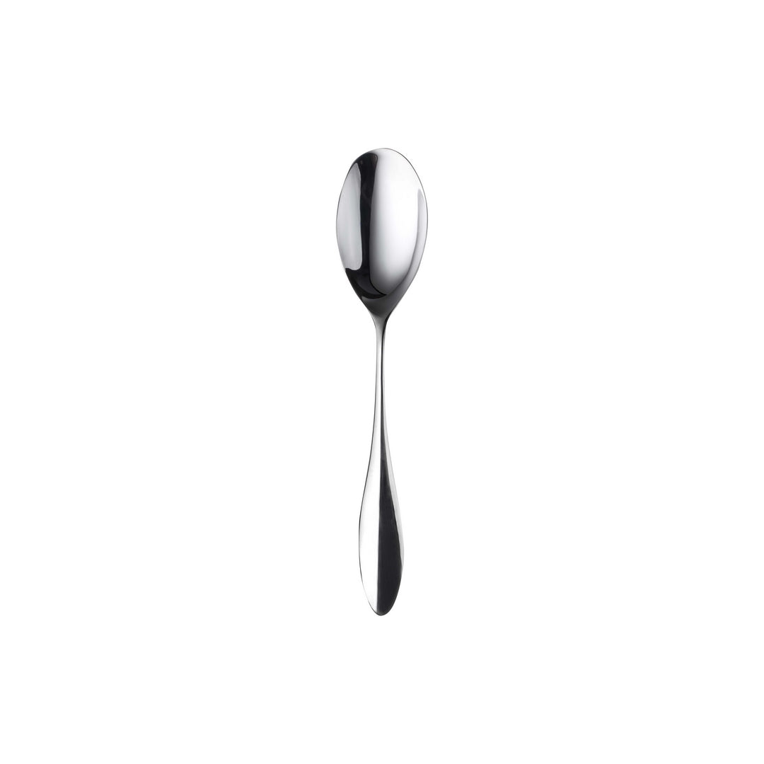 European Size Table Spoon