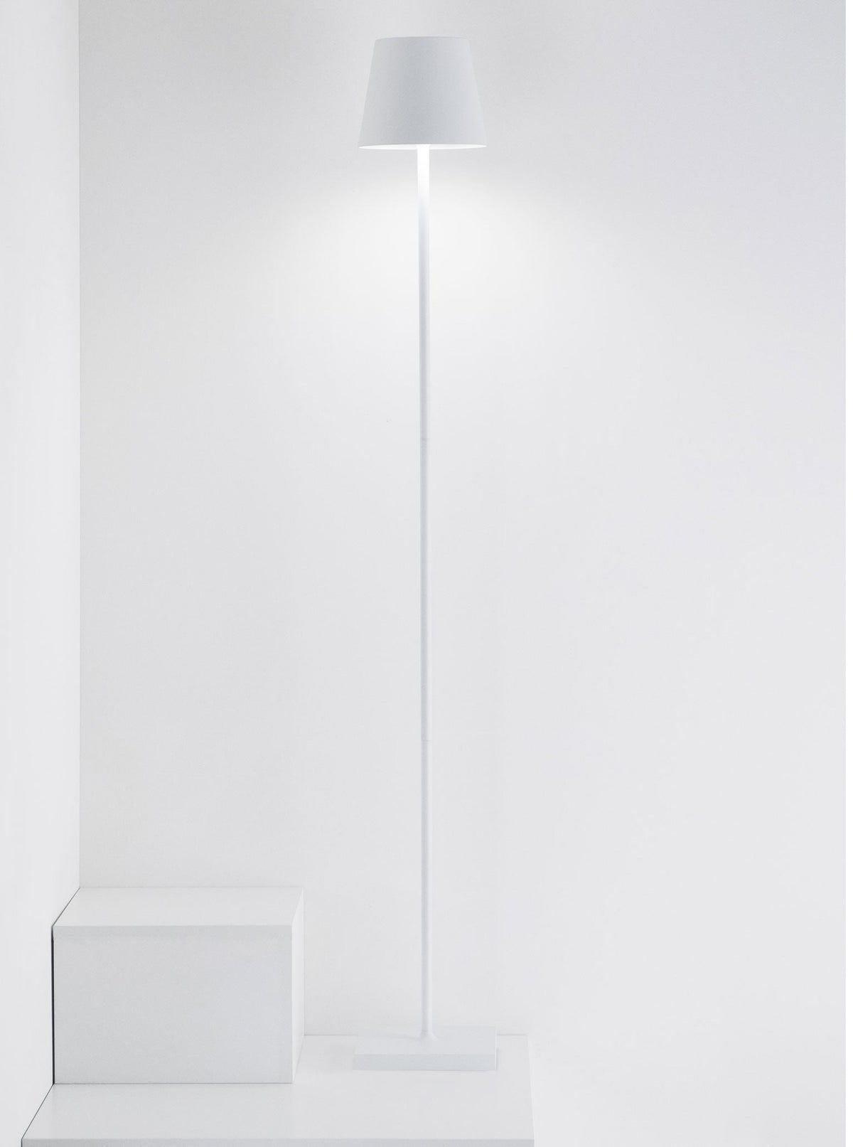 Zafferano America Poldina L